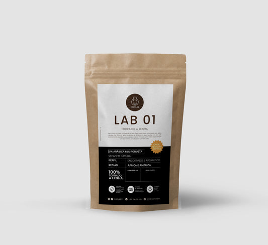 Lab 01
